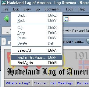 Netscape Page Search Graphic