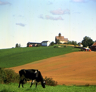 Tinglelstad Church was built in 1200's