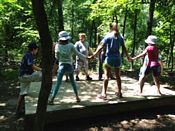 Click for larger image in a new window