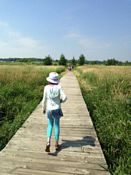 Click for larger image in a new window